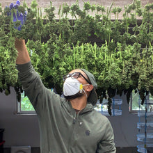 Load image into Gallery viewer, Limited Edition Tincture: Orange Glaze