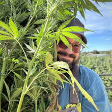 Load image into Gallery viewer, Derek harvesting hemp with a smile.